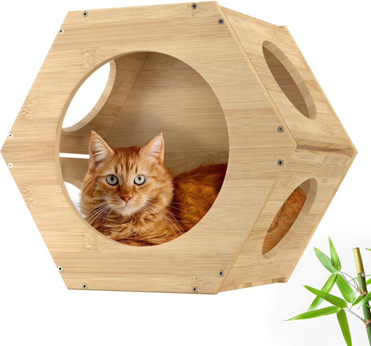 Cat Wall Furniture - Climbing Shelves, Ladders, Hammock & More - Bamboo Material - Light Brown