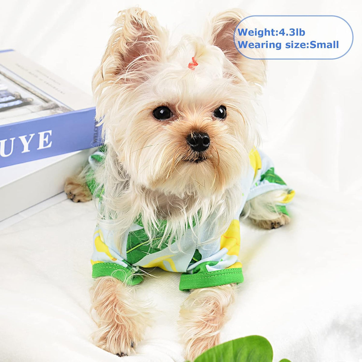 Dog Pajamas Pjs Spring Summer Dog Clothes for Small Dogs Girl - Boy - Medium Size Dogs, Soft