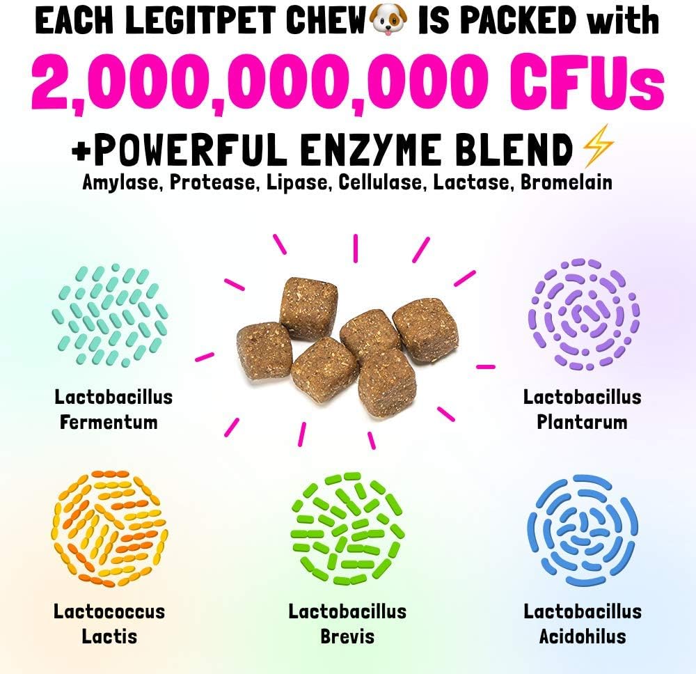 Probiotics for Dogs Natural Digestive Enzymes Prebiotics for Allergy Itch Relief Gut Flora