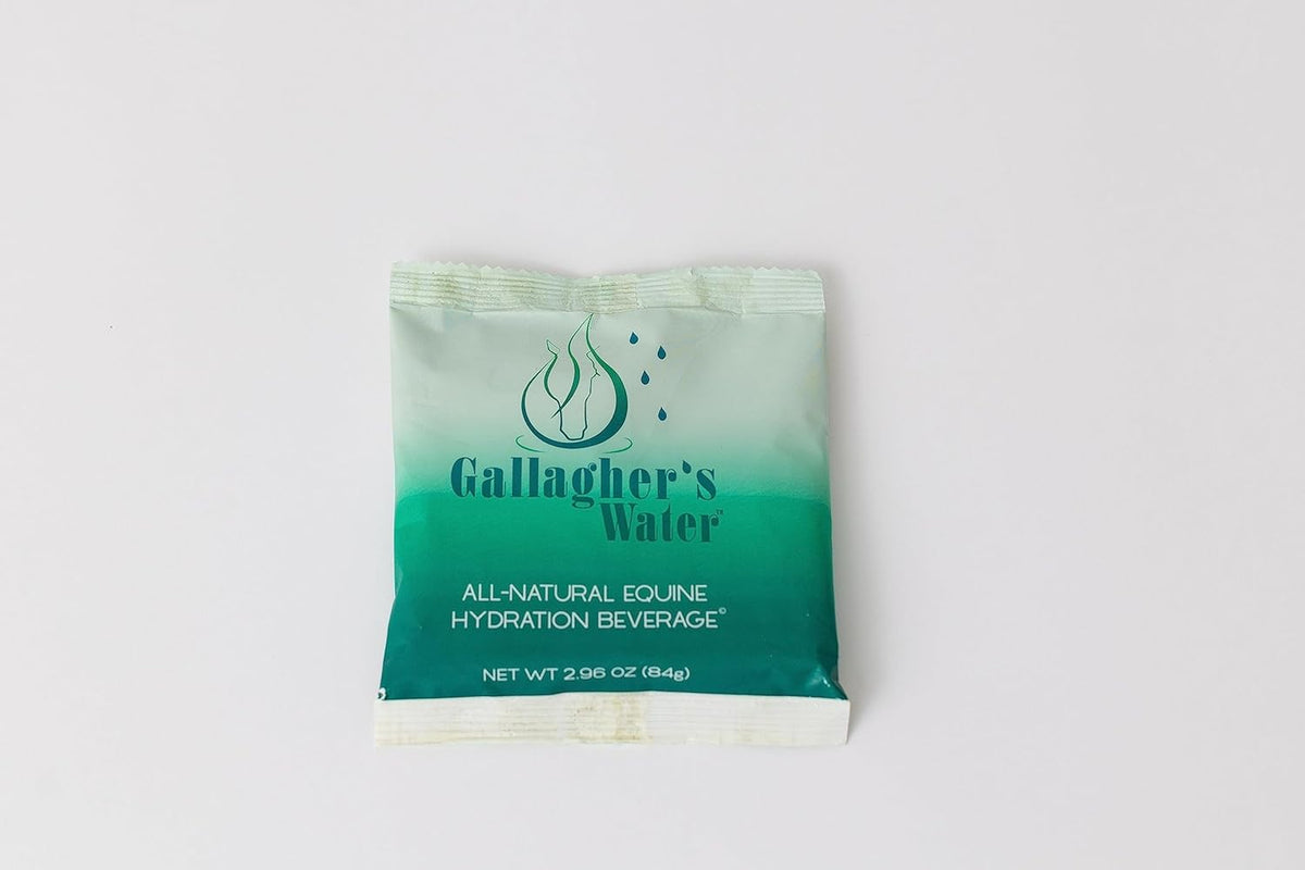 Gallagher's Water 12 Pack All-Natural Equine Hydration Treat - Enhancement Powder Mix Horse Drink