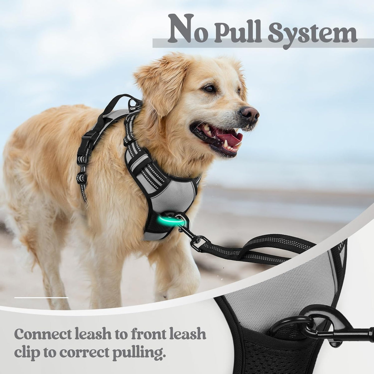 rabbitgoo Dog Harness No Pull with 2 Leash Clips, Adjustable Soft Padded, Reflective Oxford No