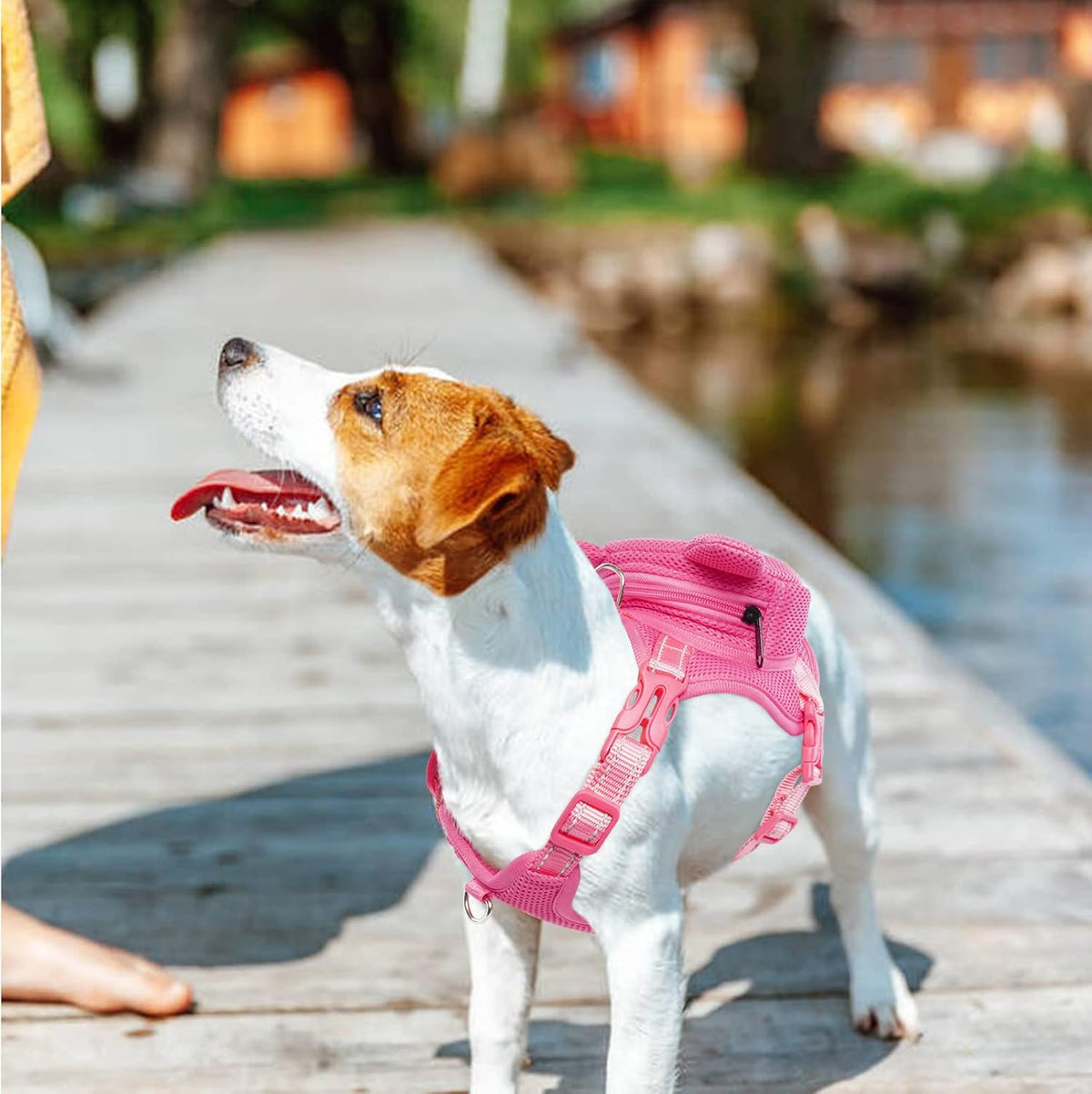 IDOMIK Dog Backpack Harness, No-Pull Dog Backpack with D-Ring for Small Medium Dogs, Cute Self