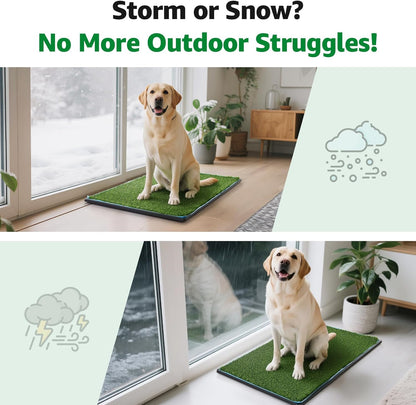 Dog Grass Pad with Tray,35.5” x 23.6” Indoor Dog Potty System 2 Pics Replacement Artificial Grass