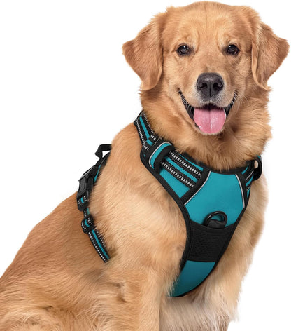 rabbitgoo Dog Harness No Pull with 2 Leash Clips, Adjustable Soft Padded, Reflective Oxford No