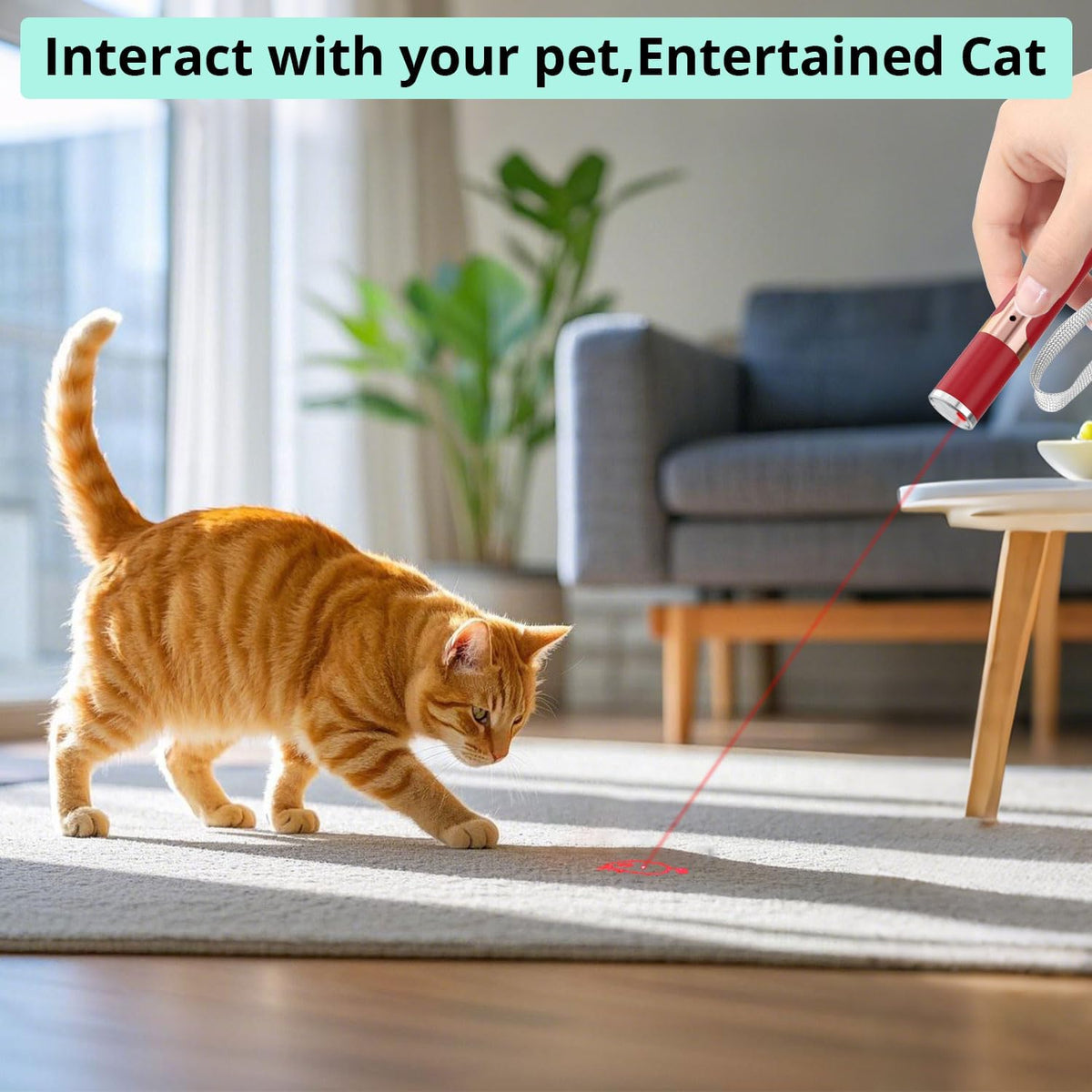 TBTeek Cat Toys for Indoor Cats, 2 Pieces, Rechargeable, 7 Adjustable Patterns, Interactive Kitten