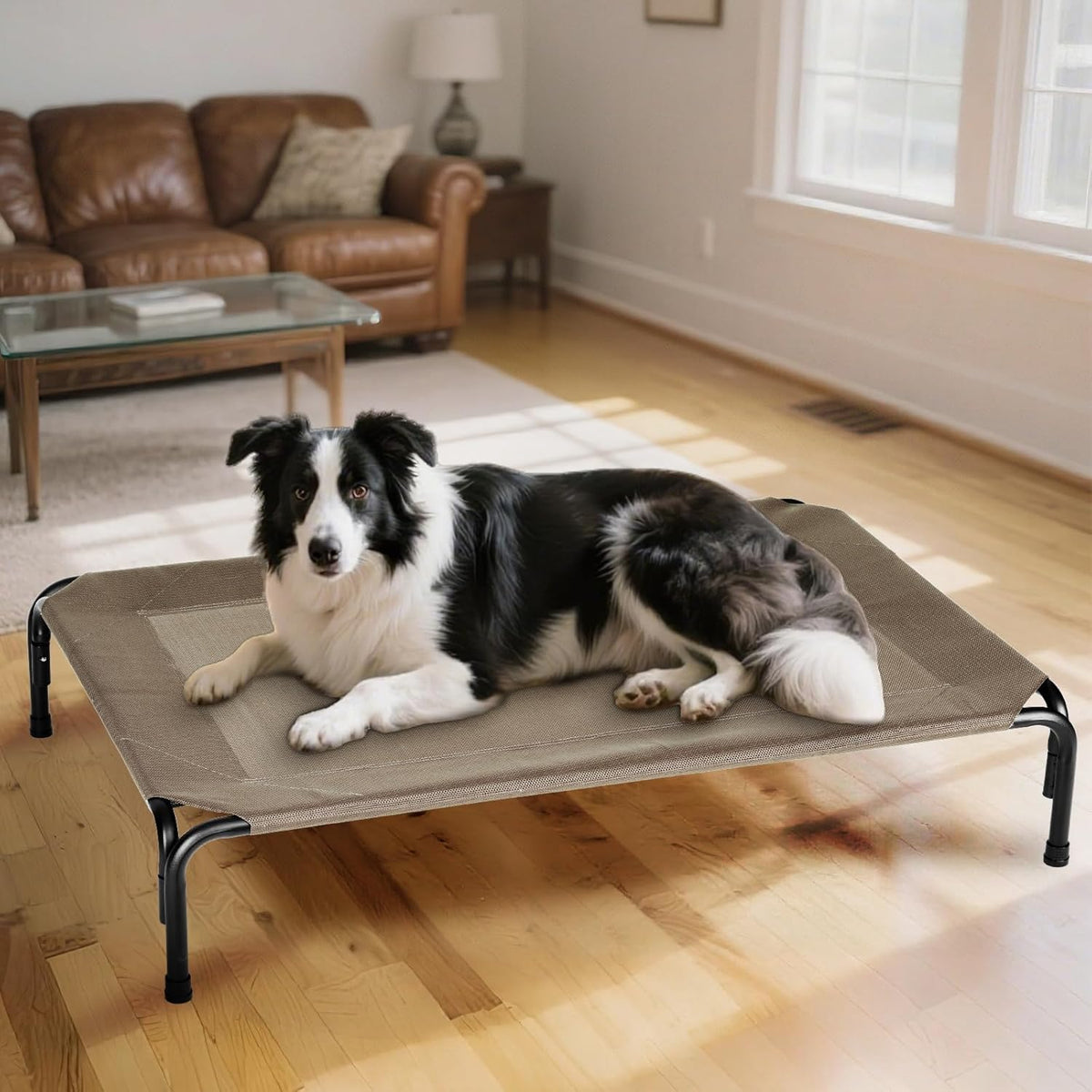 Elevated Dog Bed for Outdoor, XXXL Raised Dogs Cot with Washable Mesh, Cooling Pet Beds Chew Proof