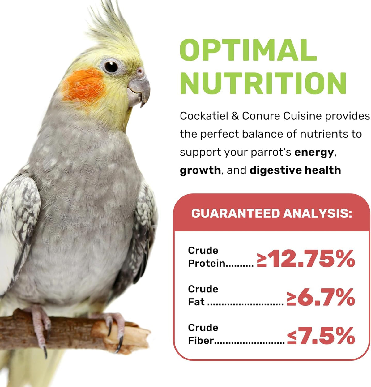 Cockatiel & Conure Cuisine 4 Lbs, Cockatiel & Conure Bird Seed, Nutrient-Rich Mixed Birdseeds, Bird