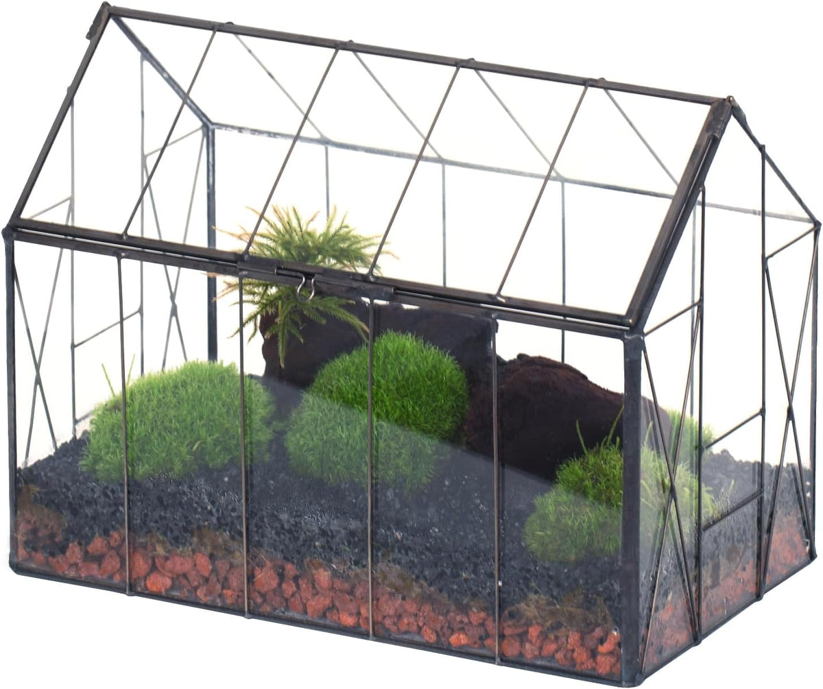 NCYP Geometric Glass Terrarium with Lid for Succulent, Small Cactus - Handmade Clear Closed House