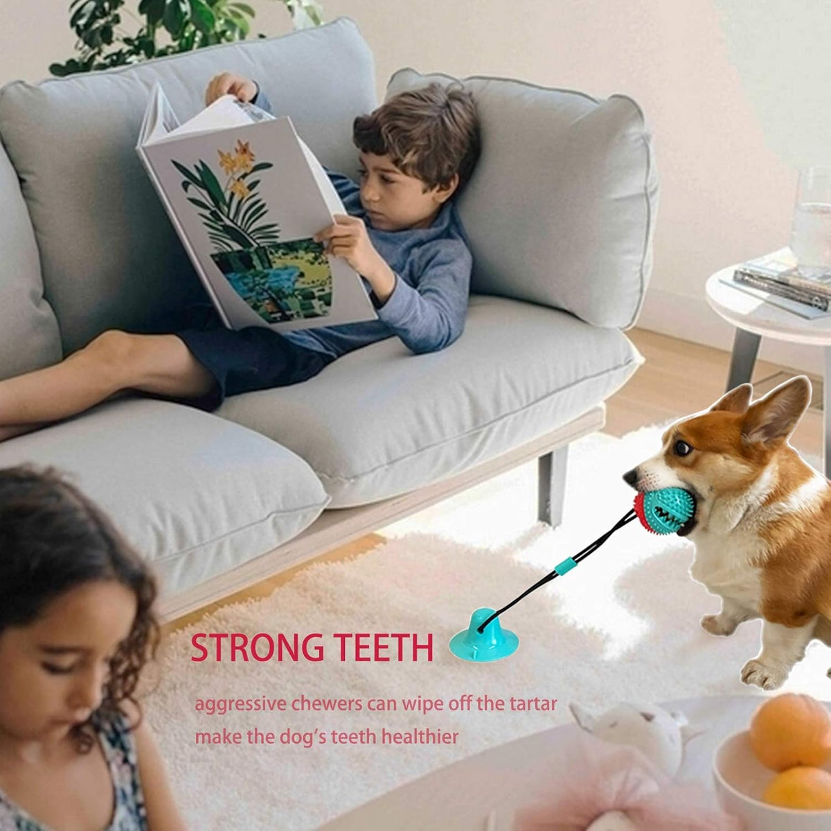 Dog Toys Dog Chew Toys for Aggressive chewers, Puppy Dog Training Treats Teething Rope Toys for