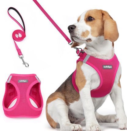 rabbitgoo Dog Harness Small Medium Sized and Leash Set, Step in Soft Light Puppy Vest, Breathable
