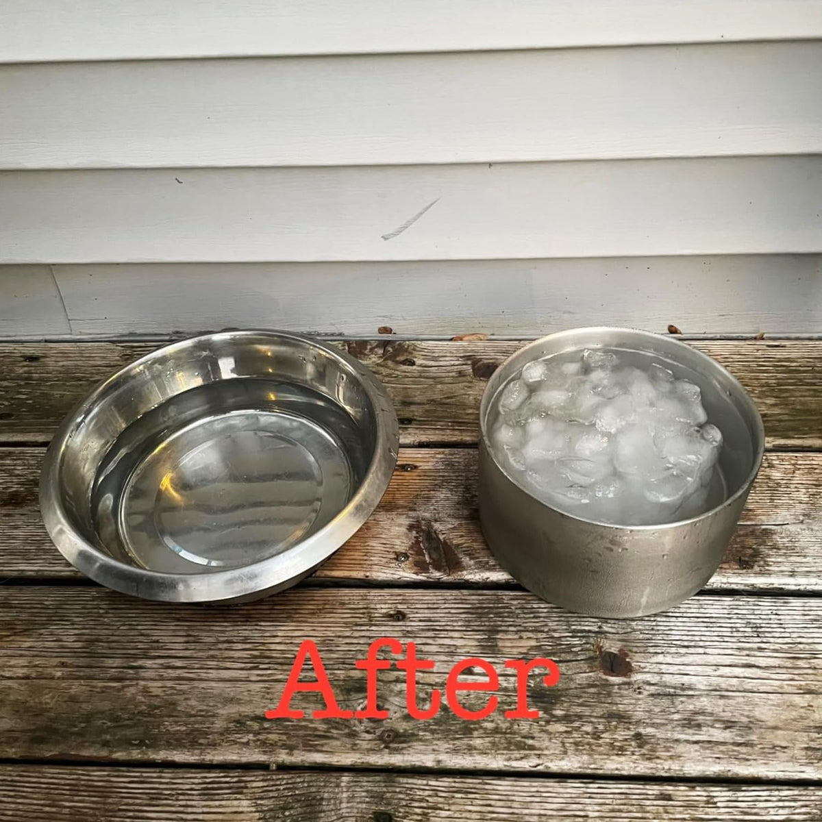 1Gallon Double Layer 304 Stainless Steel Dog Bowl - Insulated & Durable | Non-Slip Base | Easy to