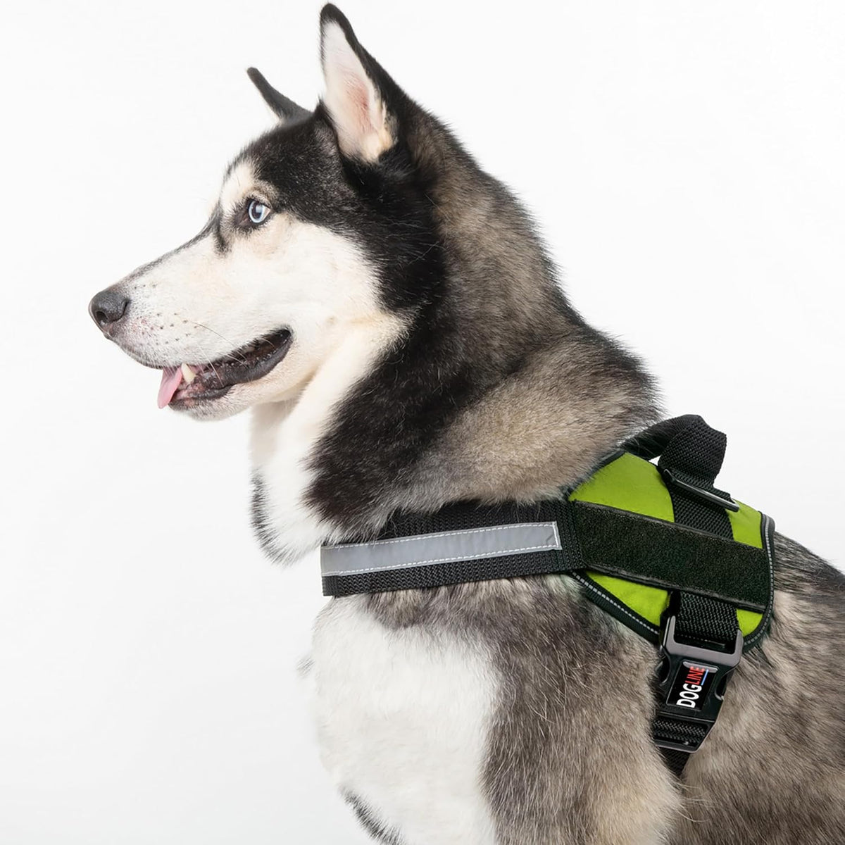 Dogline Dog Harness, Reflective No-Pull Adjustable Vest with Handle for Walking, Training