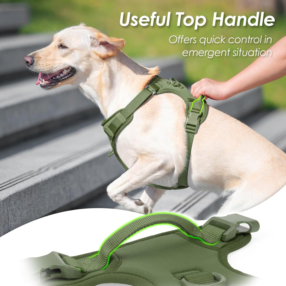 No Pull Dog Harness, Puppy Vest with Front Clip for Small Medium Large Sized Cute Dog (Misty