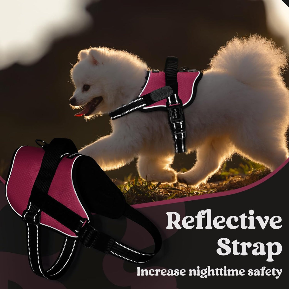 rabbitgoo Dog Harness for Small, Easy On Pet Vest with One Buckle, No Pull Adjustable Service