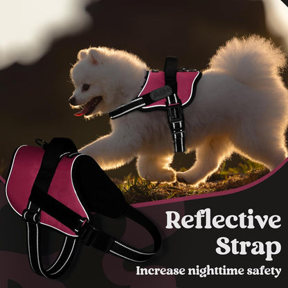 rabbitgoo Dog Harness for Large, Easy On Pet Vest with One Buckle, No Pull Adjustable Service