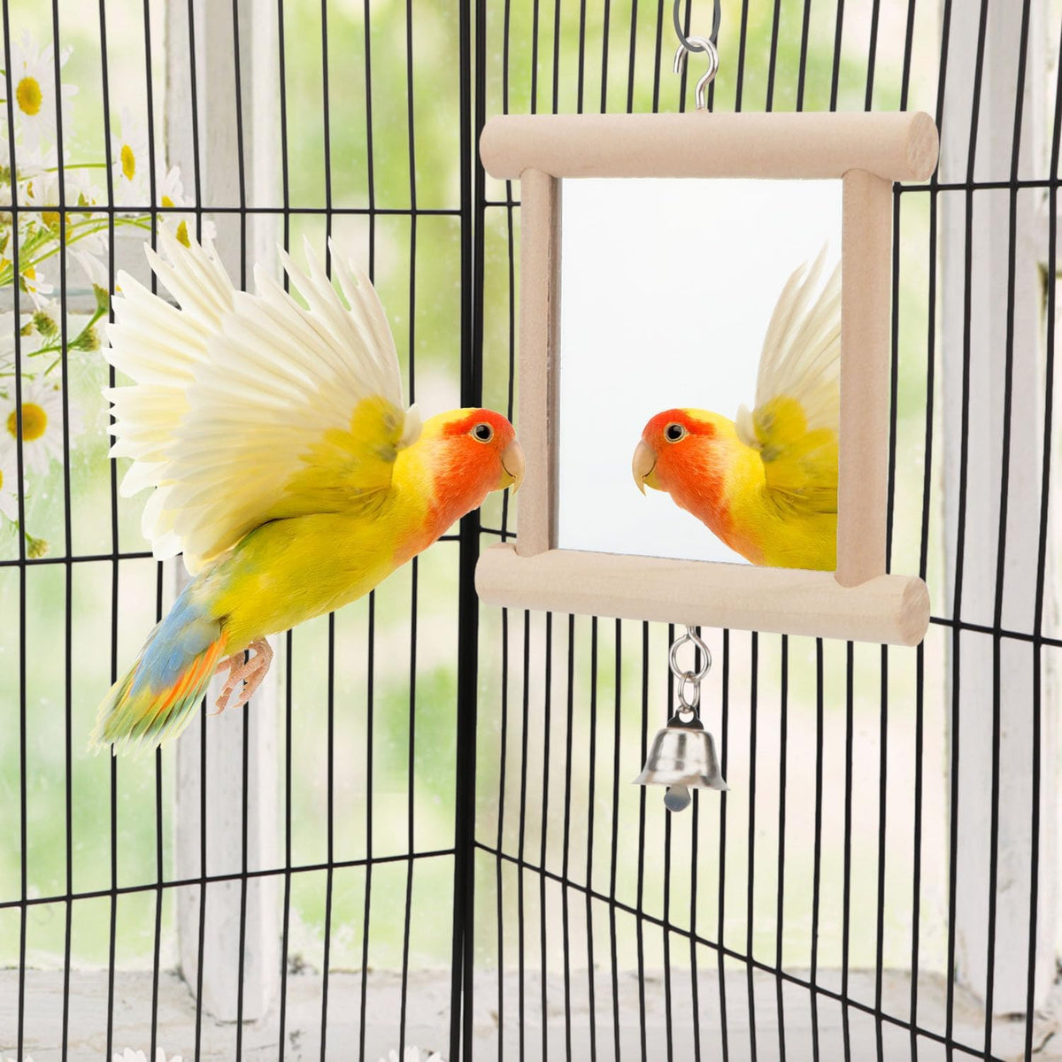 Hypeety Pet Bird Mirror with Bell Interactive Parrot Toy for Parrot Macaw African Greys Budgies