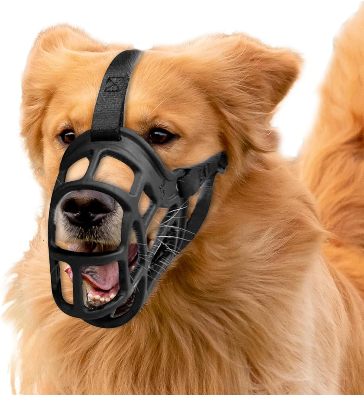 Dog Muzzle – Lightweight Breathable Basket Muzzle, Anti-Biting & Chewing, Adjustable Fit for Small