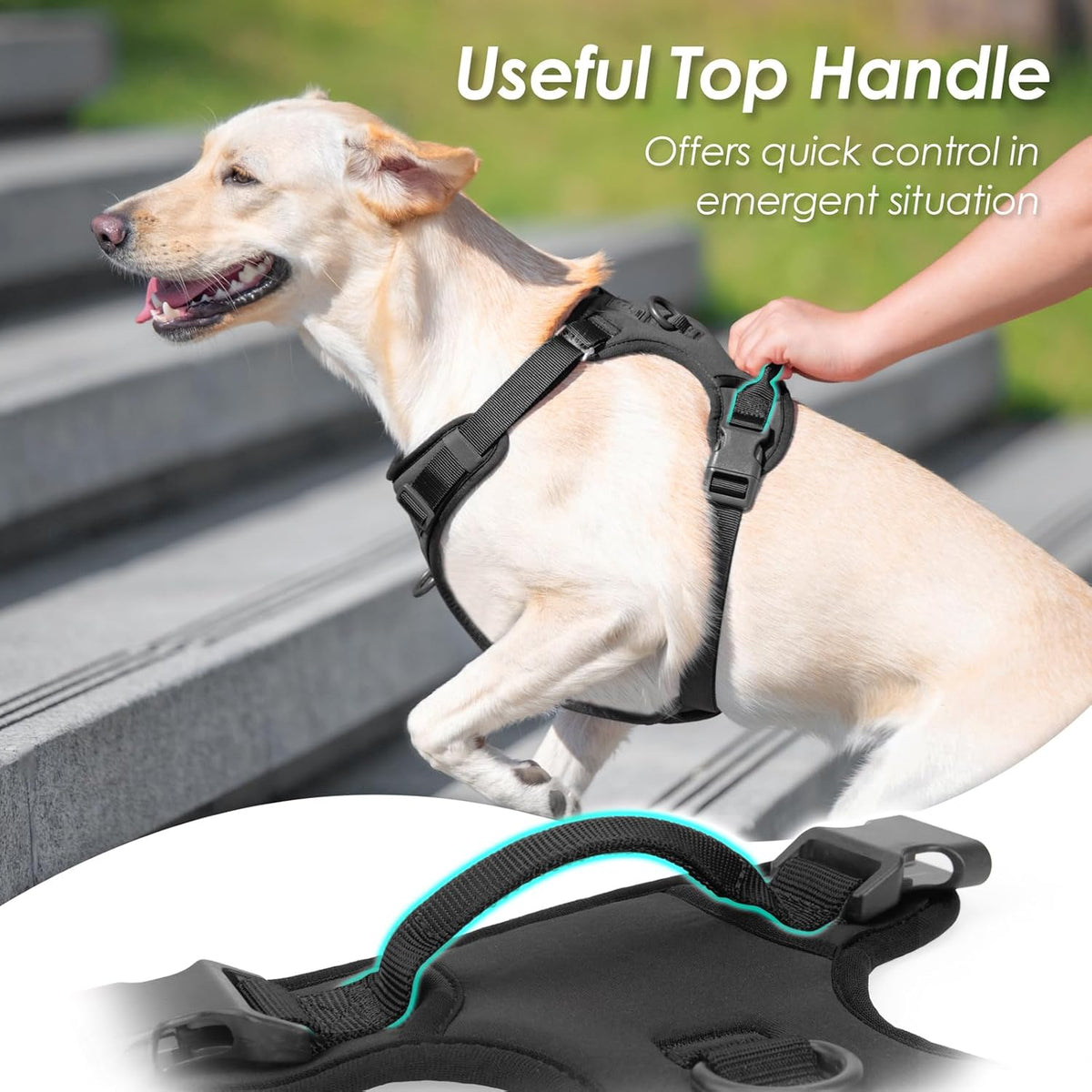 No Pull Dog Harness, Puppy Vest with Front Clip for Small Medium Large Sized Dog (Black,L)