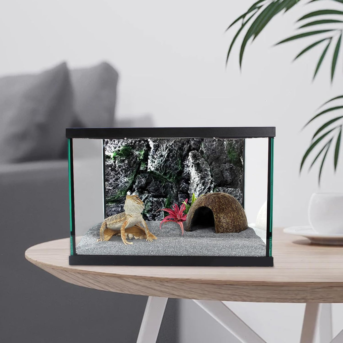 Reptile Glass Terrarium Tank 12 * 12 * 8" Full View with Top Ventilation, Amphibians Box Habitat