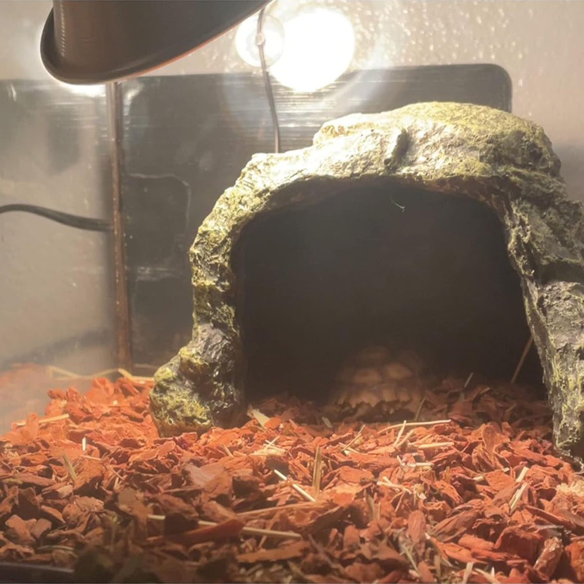 kathson Reptile Rock Hideout Cave,Tortoise Hide Caves,Resin Hides Shelter,Reptile Green Plant