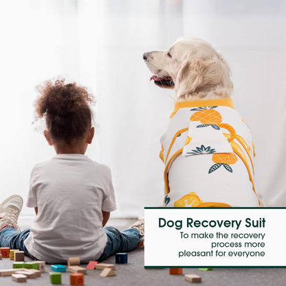 Kuoser Recovery Suit for Dogs Cats After Surgery, Professional Pet Recovery Shirt Dog Abdominal