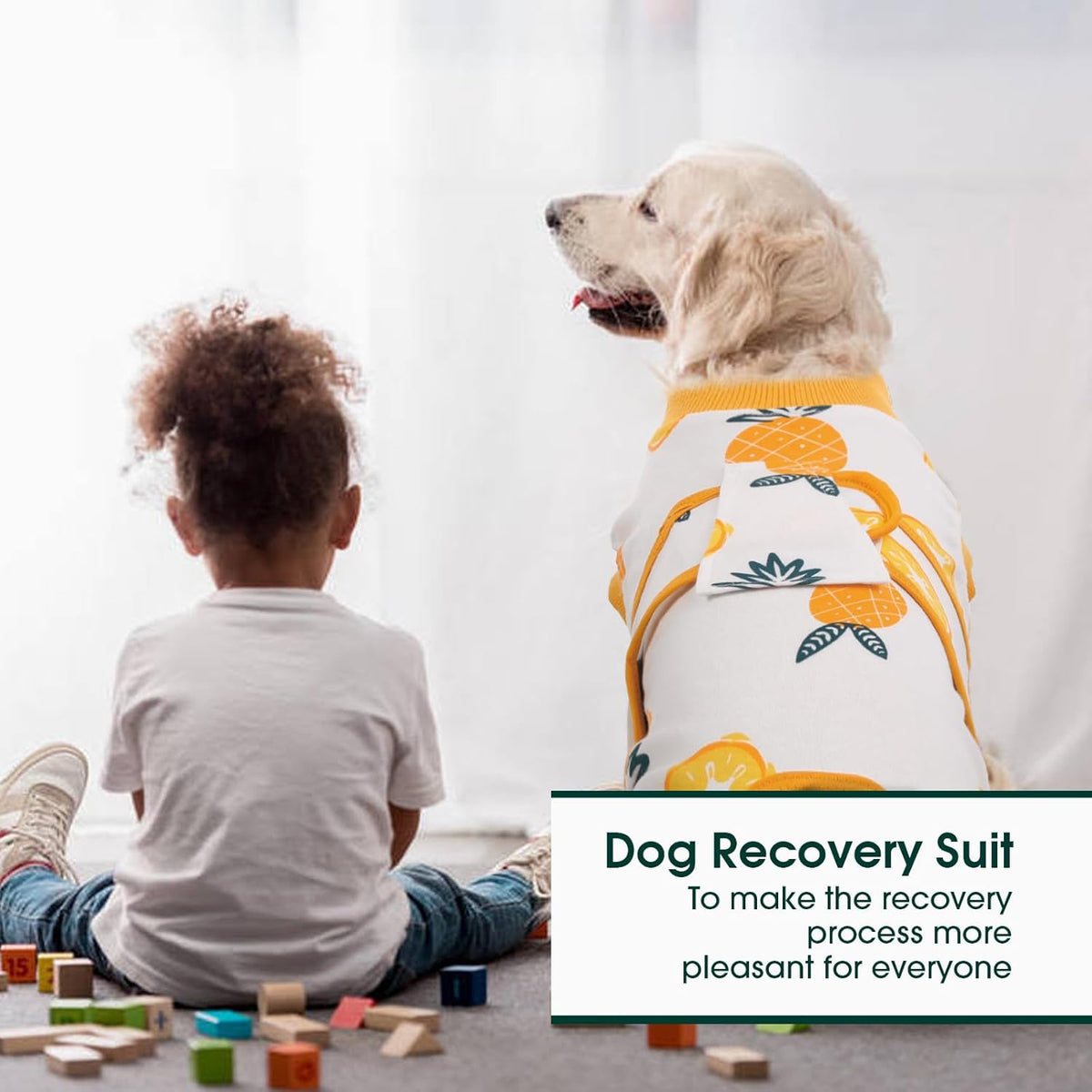 Kuoser Recovery Suit for Dogs Cats After Surgery, Professional Pet Recovery Shirt Dog Abdominal