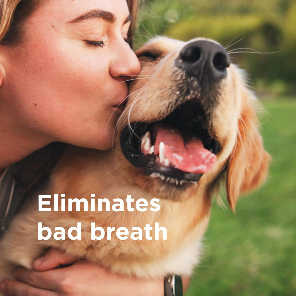 Wondercide Rescue - Oral Spray for Dogs and Cats – Freshens Breath, Soothes Gums, Alcohol Free