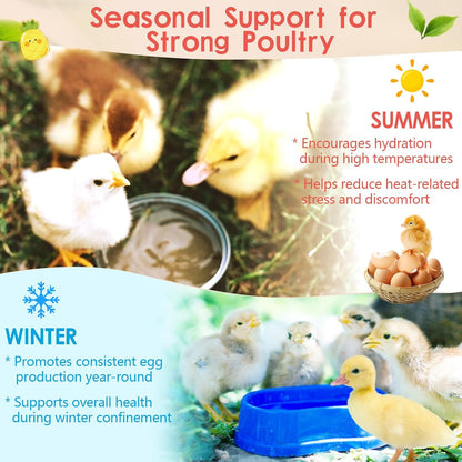 Chicken Electrolyte, Vitamin & Probiotic Supplement - Support Hydration Digestion Immunity Egg