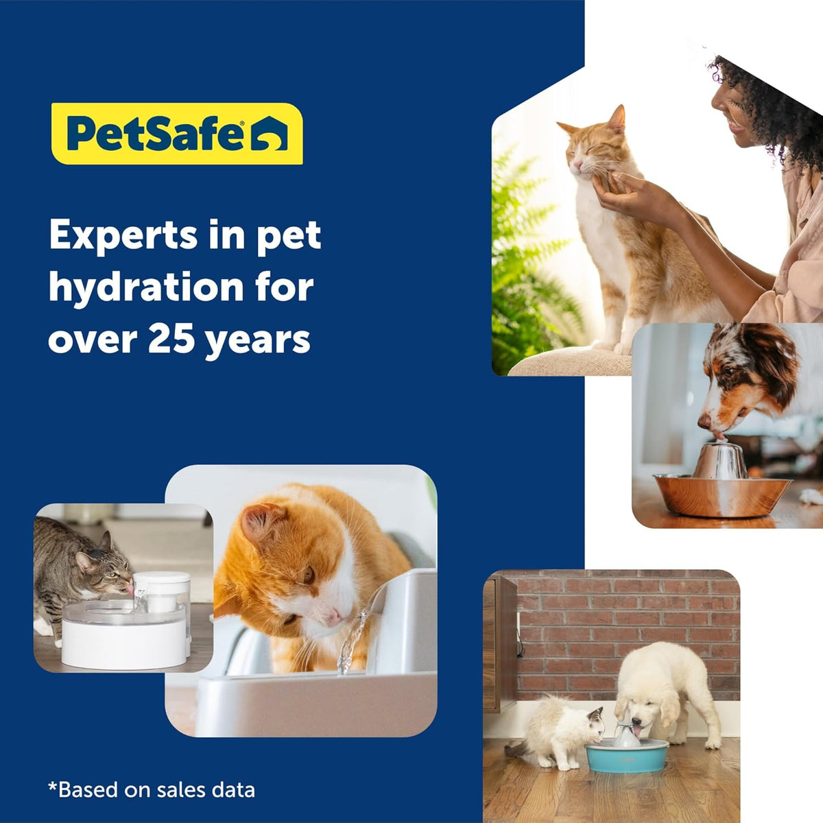 PetSafe ScoopFree Disposable Crystal Cat Litter Tray - Easy Cleaning Box - Refill Tray for Electric