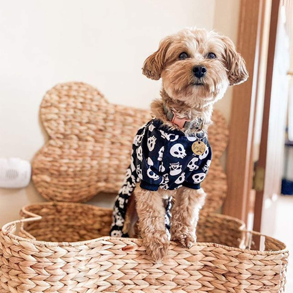 CuteBone Dog Halloween Pajamas Puppy Onesies Small Dogs Soft Pjs Coat Cat Apparel Comfy Pet