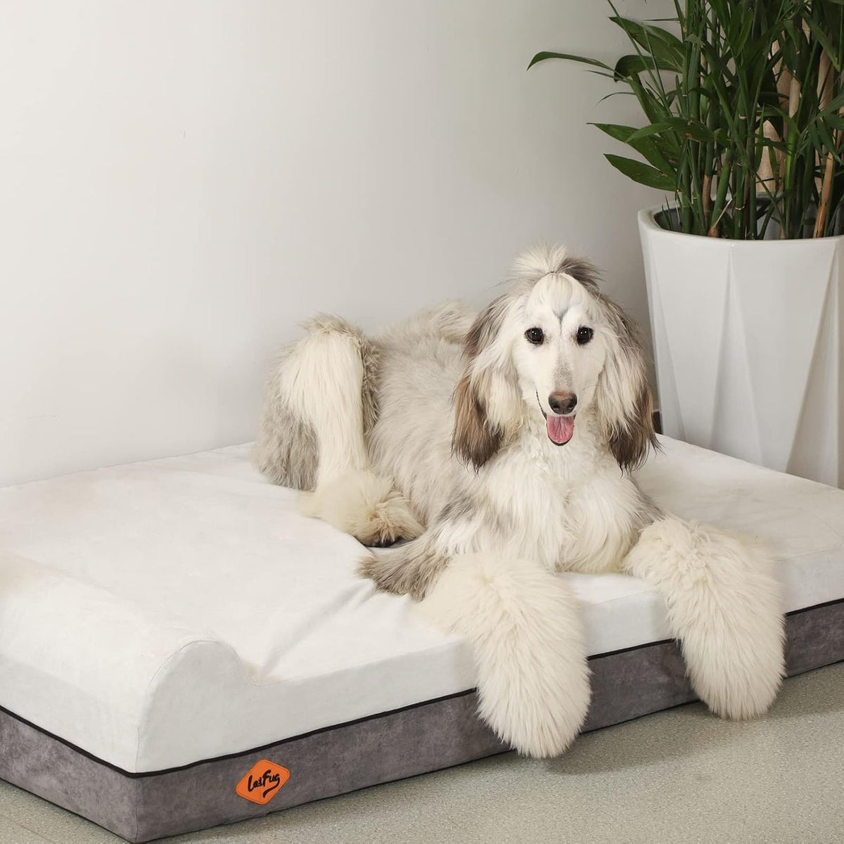 Laifug Orthopedic Memory Foam Dog Bed Extra Large Dog Bed with Pillow and Durable Water Proof Liner