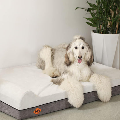 Laifug Orthopedic Memory Foam Dog Bed Extra Large Dog Bed with Pillow and Durable Water Proof Liner