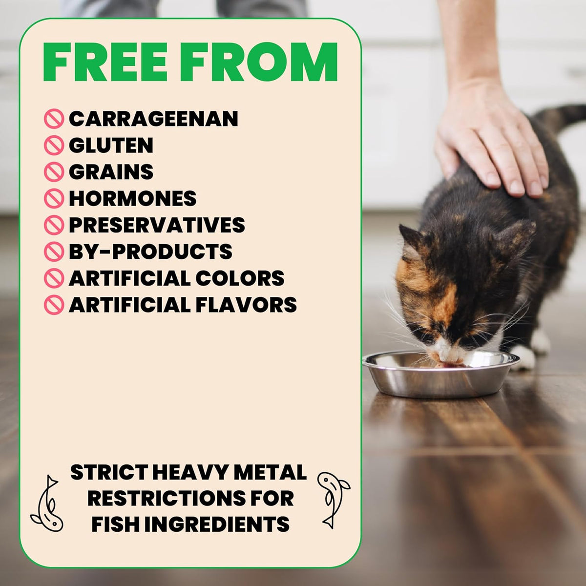 Almo Nature Wet Cat Food HQS Natural Rotational Diet Fish Selection & Chicken Drumstick - Variety