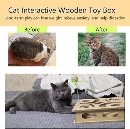 Interactive Wooden Cat Puzzle Toy Box Indoor Hunting Play Toy to Stimulate Your Cat’s Energy and