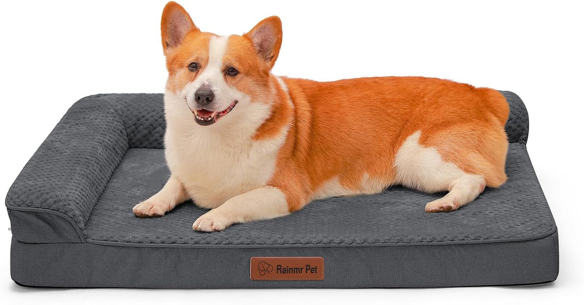 Orthopedic Dog Bed, 3 Inch Memory Foam Dog Beds for Large Dogs, Washable Removable Cover, Nonskid