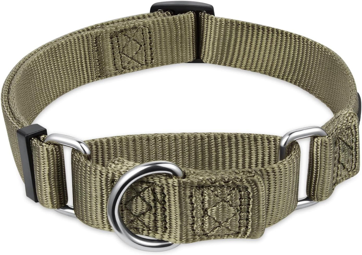 Premium Upgraded Durable Nylon Anti-Escape Martingale Dog Collar for Medium Boy and Girl Dogs Comfy