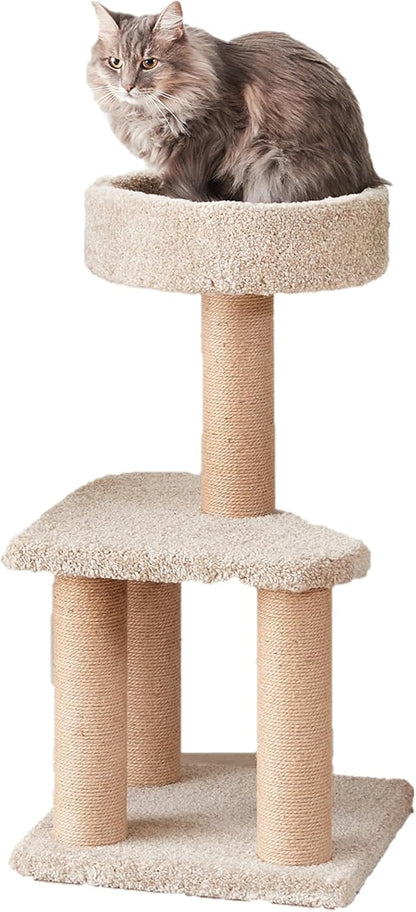Amazon Basics Cat Tree - Indoor Cat & Kittens Multi-Level Climbing Activity Tower with Scratching