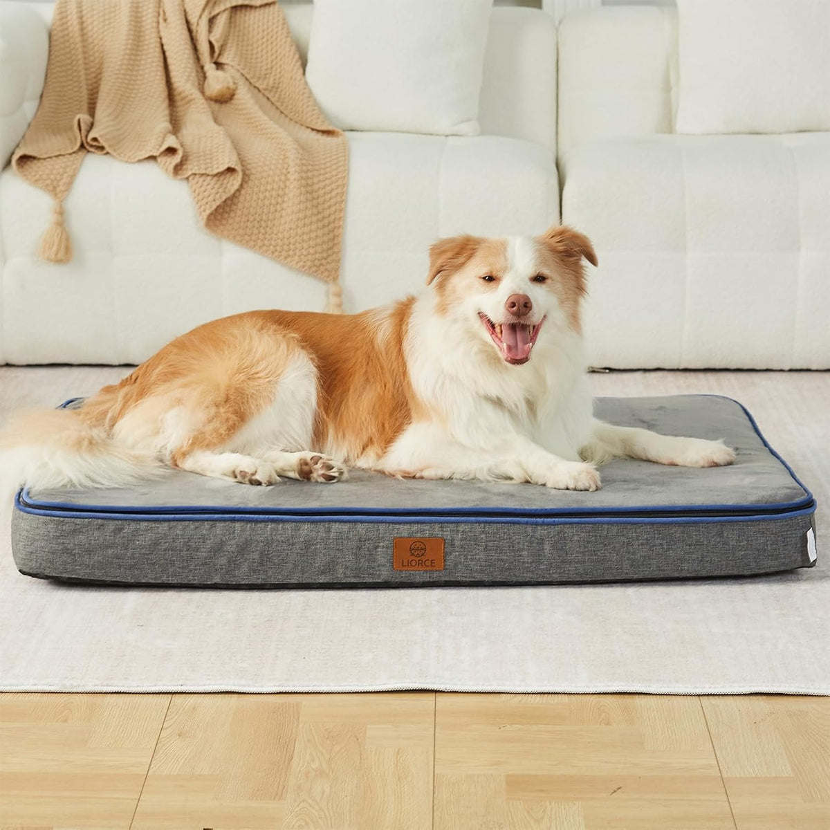 Memory Foam XL Dog Bed - 4” Thick Orthopedic Beds for Extra Large Dogs - Waterproof Dog Bed with