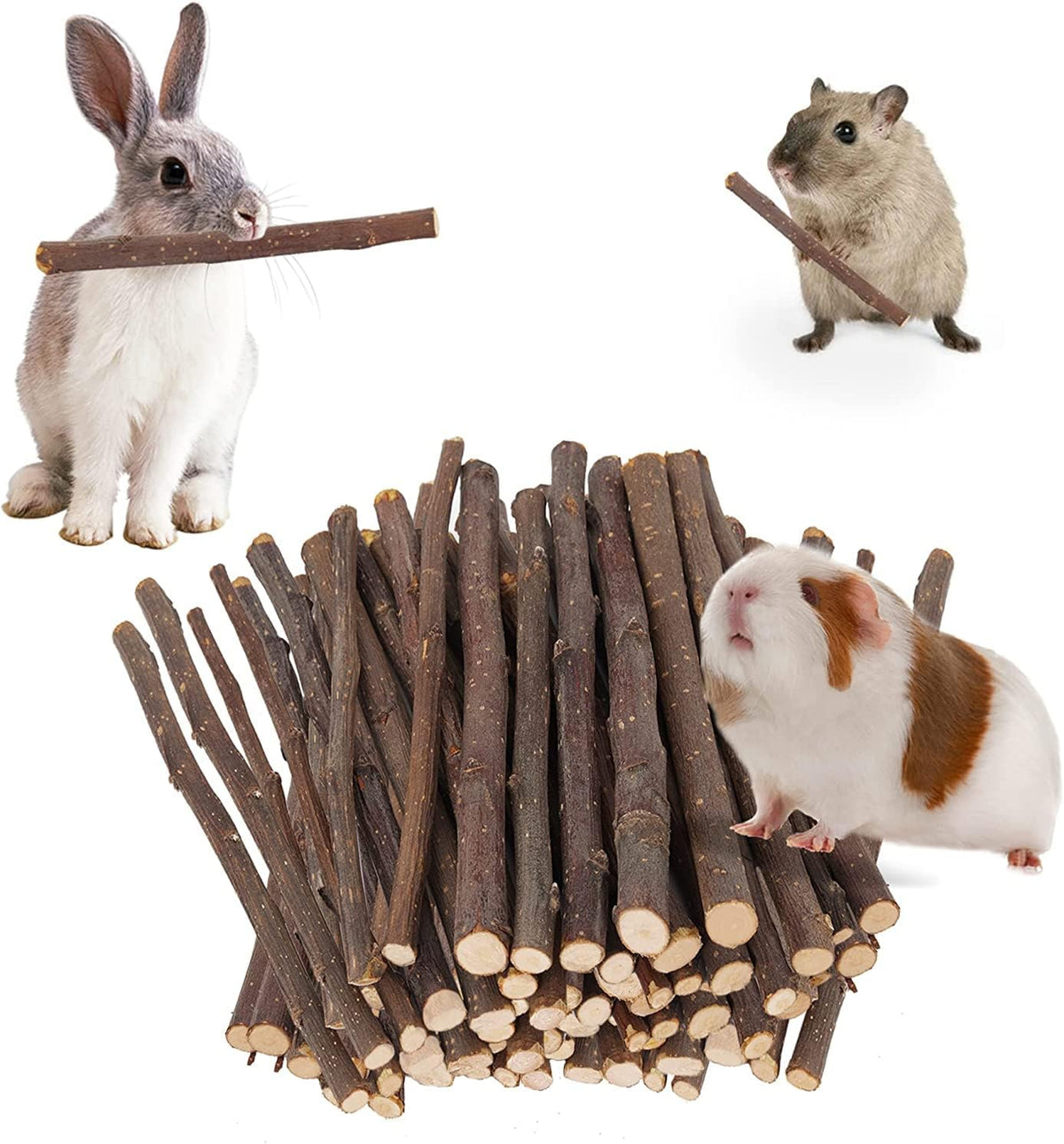 600g Apple Sticks Molar Wood Treats, Rabbit Toys Chinchilla Guinea Pig Bunny Toys Wood Chews Sticks