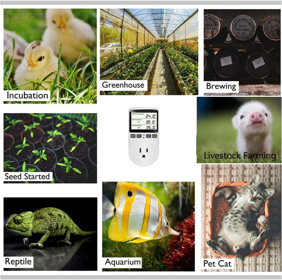 KABASI Digital Temperature Controller, LCD Screen Heating Cooling Reptile Thermostat with Sensor