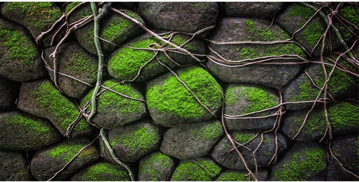 AWERT 72x18 inches Stone Aquarium Background Rock Fish Tank Background Rocky Terrarium Background