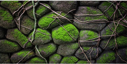 AWERT 48x20 inches Stone Aquarium Background Rock Fish Tank Background Rocky Terrarium Background