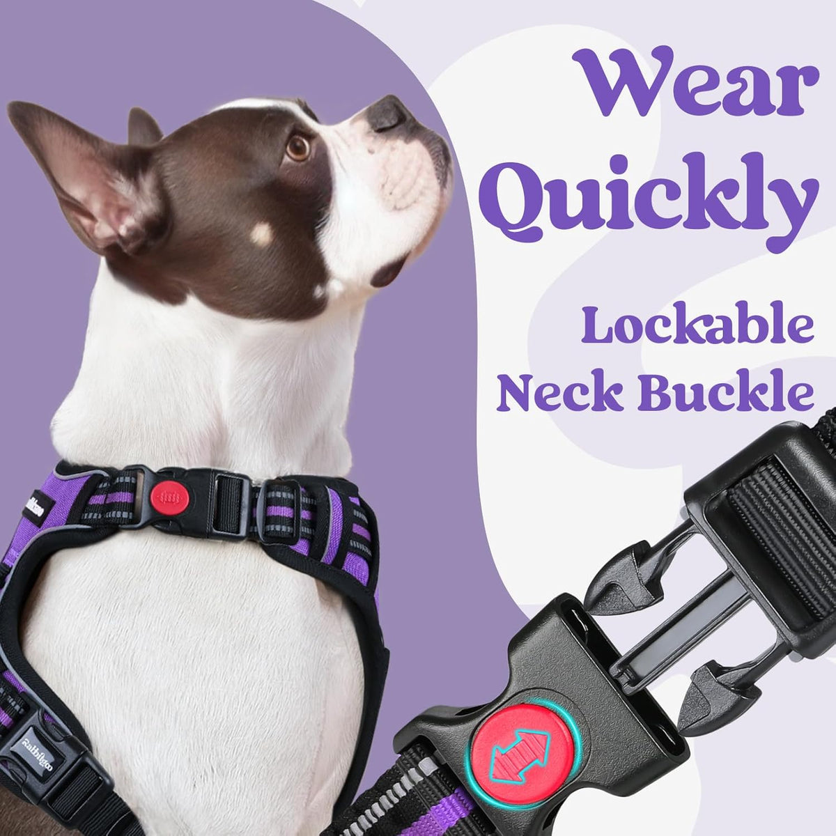 rabbitgoo Dog Harness Small Sized, No Pull Pet Harness with 3 Buckles, Adjustable Soft Padded Vest