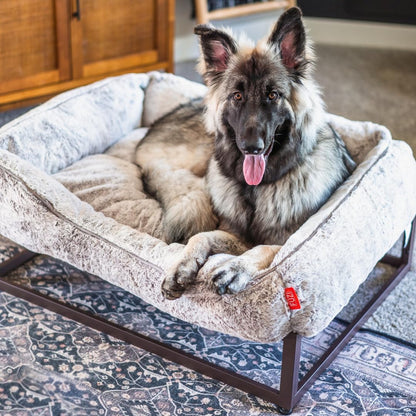 FUZI Luxury Aesthetic Dog Bed for Medium Dogs with Washable Cover, Pet Couch, Pet Bed with Sides