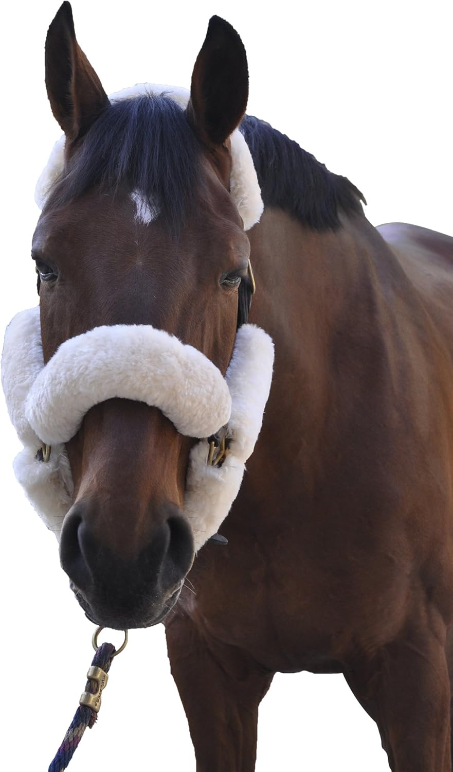 ECP Equine Comfort Products Merino Sheepskin Halter Fleece Set for Horses, 100% Natural Wool, Chafe