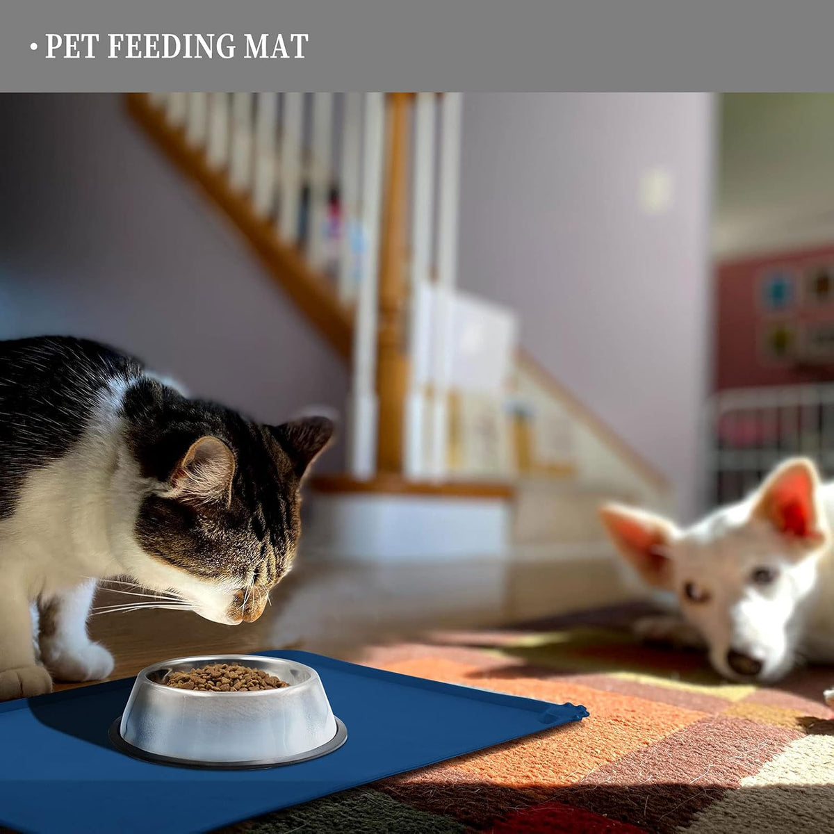 Waterproof Pet Feeding Mat with High Raised Edges, Heavier and Thicker Placemats for Cat Dog Water