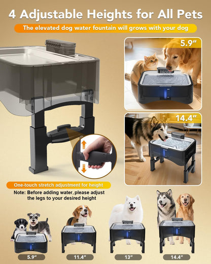 UPSKY 2.25Gal Elevated Dog Water Fountain, 4 Heights Adjustable Pet Fountain for All Dog Sizes, 304