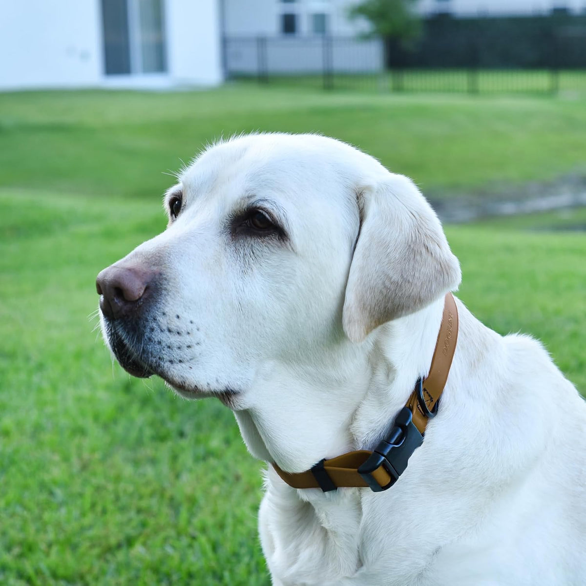 Dogline Biothane Waterproof Dog Collar with Quick Release Buckle Strong Coated Nylon Webbing with