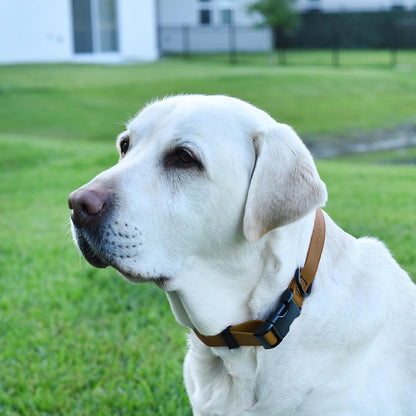 Dogline Biothane Waterproof Dog Collar with Quick Release Buckle Strong Coated Nylon Webbing with