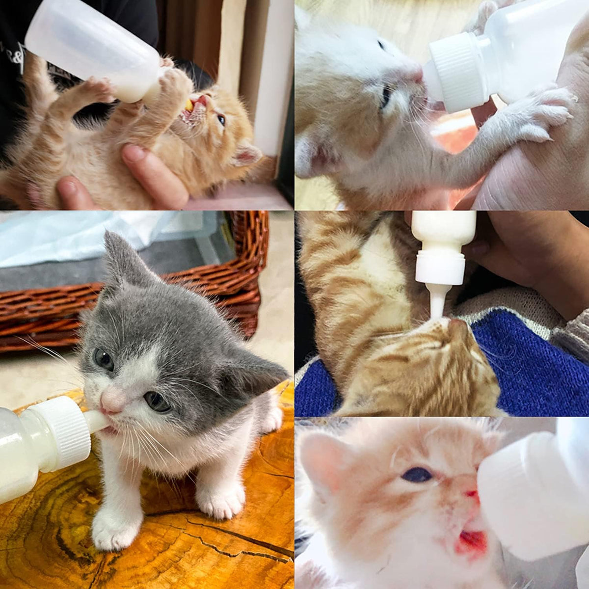 60ml Pet Feeding Bottle kit, pet Feeding Tool, Newborn Animal Feeder Practical, Replacement Pet